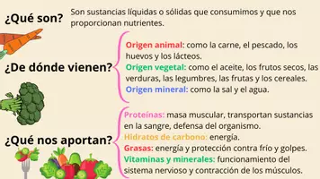 Vista previa - Presentaciones - Los alimentos y los nutrientes - página 1