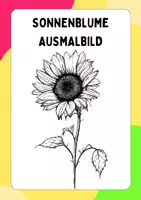 Vorschau - Arbeitsblätter - Sonnenblume Ausmalbild, zum Ausmalen, Ausmalbild, Ausmalbilder, Kunst, gratis, kostenlos - Deckblatt