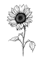 Vorschau - Arbeitsblätter - Sonnenblume Ausmalbild, zum Ausmalen, Ausmalbild, Ausmalbilder, Kunst, gratis, kostenlos - Seite 1