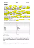 Vorschau - Text - Lionel Messi – Text Anfänger (Deutsch/Spanisch) - Seite 3