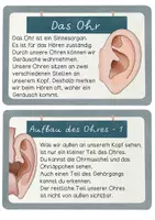 Vorschau - Merkblätter - Wissenskartei Ohr / Hörsinn + als HÖRTEXTE, Lesetexte, Wissenshäppchen und Infos - Seite 2