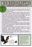 Vorschau - Stationenlernen - Fledermaus, Stationenarbeit für Klasse 5 u. 6 - Seite 3