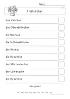 Vorschau - Arbeitsblätter - Minilesespur Frühblüher, Lesespaziergang - Seite 3