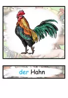 Vorschau - Arbeitsblätter - Wortschatzpaket "Tiere auf dem Bauernhof" DaZ / DaF / Deutsch - Seite 2