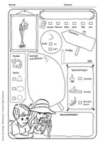 Vorschau - Arbeitsblätter - Märzenbecher - Frühlingsknotenblume - Steckbrief mit differenzierten Lesetexten - Frühblüher - Seite 3