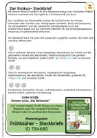 Vorschau - Arbeitsblätter - Krokus - Steckbrief mit differenzierten Lesetexten - Frühblüher - Seite 1