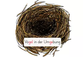 Vorschau - Unterrichtsreihen - Vögel: Reihentransparenz (1./2./3.Kl.) - Seite 3