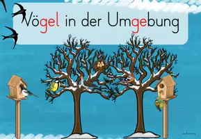Vorschau - Stationenlernen - Vögel: interaktive Datei (1./2./3.Kl.) - Seite 3