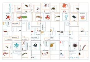 Vorschau - Spiele - Wirbellose Tiere – Puzzle - Seite 1