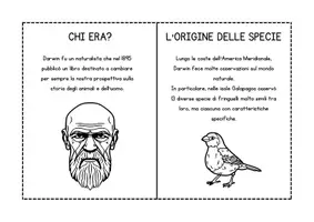 anteprima - Altro tipo di materiale - Darwin scuola primaria – Libretto da stampare e completare - Pagina 2