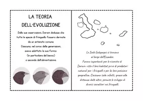 anteprima - Altro tipo di materiale - Darwin scuola primaria – Libretto da stampare e completare - Pagina 3