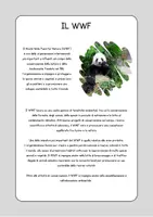 anteprima - Schede informative - Schede didattiche sugli animali per bambini - Pagina 3