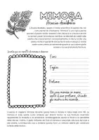 anteprima - Compiti in classe/Test - Festa della donna - scheda e attività interdisciplinare - Pagina 2