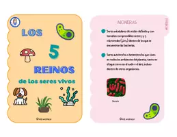 Vista previa - Unidades / Secuencias / Situaciones de Aprendizaje - LOS 5 REINOS ANIMALES (castellano)@xiz.maxico - página 2