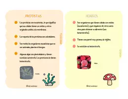 Vista previa - Unidades / Secuencias / Situaciones de Aprendizaje - LOS 5 REINOS ANIMALES (castellano)@xiz.maxico - página 3