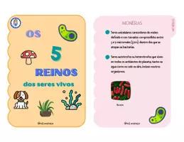 Vista previa - Unidades / Secuencias / Situaciones de Aprendizaje - OS 5 REINOS ANIMAIS (galego) @xiz.maxico - página 2