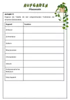 Vorschau - Arbeitsblätter - Aufbau einer Pflanzenzelle | Unterrichtsreihe Ökosystem Wald - Seite 2