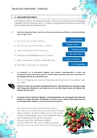 Vorschau - Unterrichtsreihen - Grammatik üben - Attribute und Attributarten - Arbeitsblätter - Seite 2