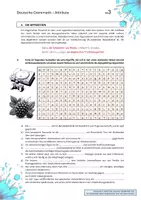 Vorschau - Unterrichtsreihen - Grammatik üben - Attribute und Attributarten - Arbeitsblätter - Seite 3