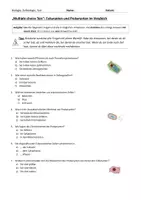 Vorschau - Test - Pro- und Eukaryotenzellen, multiple choice Test - Seite 1
