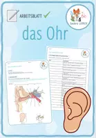 Vorschau - Arbeitsblätter - das Ohr - 7x Aktivitäten und Spiele - Seite 1