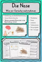 Vorschau - Stundenentwürfe - Alle Sinnesorgane Auge, Nase, Ohr, Zunge, Haut Klasse 2-4 - Seite 1