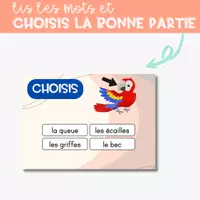 Aperçu - Apprentissages en autonomie - BOOM CARDS Les animaux du ZOO avec Audio SET 1 - Page 3