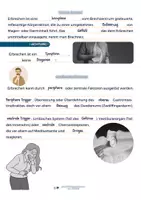 Vorschau - Stundenentwürfe - Untersuchungen von Ausscheidungen Teil III: Erbrechen - Seite 2