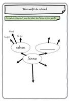 Vorschau - Stundenentwürfe - Sinne Experimente Sinnesorgane Klasse 2,3,4 - Seite 2