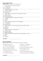 Vorschau - Arbeitsblätter - Das spanische Kolonialreich - Infotext und Übungen - Seite 2