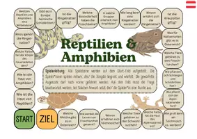Vorschau - Spiele - Brettspiel Amphibien und Reptilien (Biologieunterricht) - Seite 1
