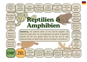 Vorschau - Spiele - Brettspiel Amphibien und Reptilien (Biologieunterricht) - Seite 3