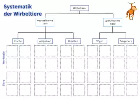 Vorschau - Arbeitsblätter - Systematik der Wirbeltiere - Seite 2