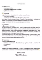 Vista previa - Juegos / Gamificación - CAZAMARIPOSAS - PRIMAVERA - ATENCIÓN - página 2