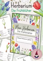 Vorschau - Mal- und Bastelvorlagen - Herbarium/ Steckbriefe: Die Frühblüher - Deckblatt