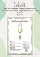 Vorschau - Mal- und Bastelvorlagen - Herbarium/ Steckbriefe: Die Frühblüher - Seite 2