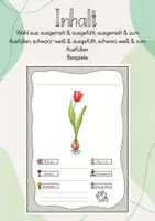 Vorschau - Mal- und Bastelvorlagen - Herbarium/ Steckbriefe: Die Frühblüher - Seite 3