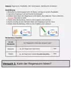 Vorschau - Arbeitsblätter - Flipbook Sinneszellen Regenwurm - Seite 1