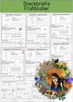 Vorschau - Arbeitsblätter - Frühblüher - Steckbrief - Deckblatt