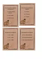 Vorschau - Spiele - Materialpaket Steinzeit - Seite 1