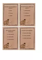 Vorschau - Spiele - Materialpaket Steinzeit - Seite 2