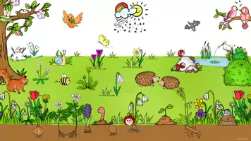 Vorschau - Unterrichtsreihen - Frühling Wimmelbild, Bildkarten, Wortkarten, Tiere, Frühblüher, Wiese, Wortschatz - Seite 2