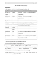 Vorschau - Arbeitsblätter - Unterrichtsstunde: Säuren und Laugen im Alltag - Seite 3