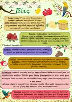 Προεπισκόπηση - Φύλλα εργασίας - Συνέντευξη με ένα δέντρο-έκθεση Γλώσσα Δ τάξη-Η ελιά - Σελίδα 2