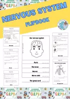 Vista previa - Juegos / Gamificación - Flipbook nervous system - Portada
