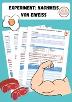 Vorschau - Arbeitsblätter - Materialpaket - Nährstoffnachweise - Seite 1