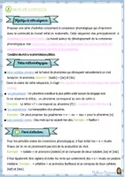 Aperçu - Préparation de séquence / Séquence complète - Développer la conscience phonologique Mise en page Marie Milo - Page 2
