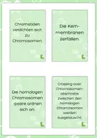 Vorschau - Arbeitsblätter - Materialpaket ZELLEN | ZELLTEILUNG 🔬🧬📚💡📖 - Seite 3