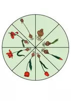 Vorschau - Mal- und Bastelvorlagen - Drehkreise/ Drehscheiben - Frühblüher/ Das Jahr der Tulpe - Seite 2