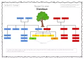 Vorschau - Arbeitsblätter - Mein Stammbaum – Meine Familie darstellen (Grundschule) - Seite 3